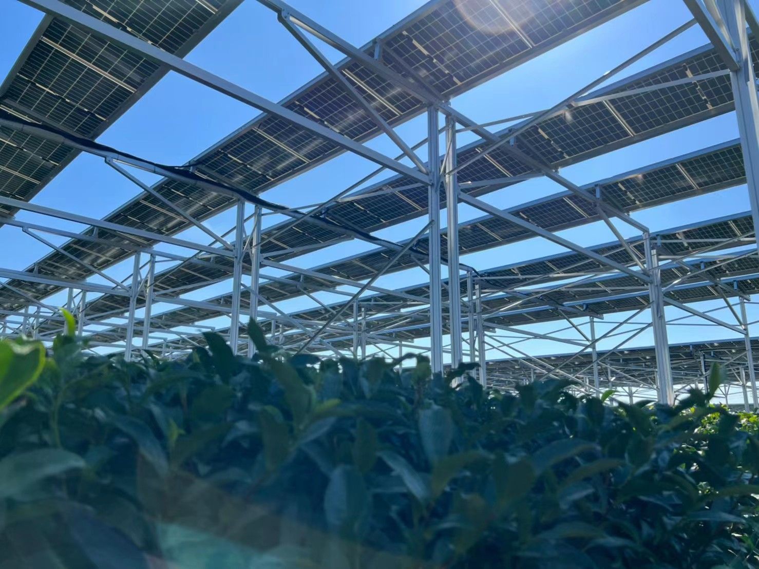 Southern Europe's Solar Market Hits a Turning Point in Early 2025