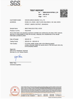 WOCHN 66# HOOK SGS Test Report
